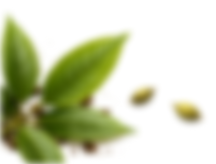 Left Leaf