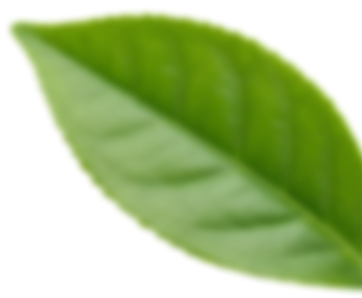 single-leaf