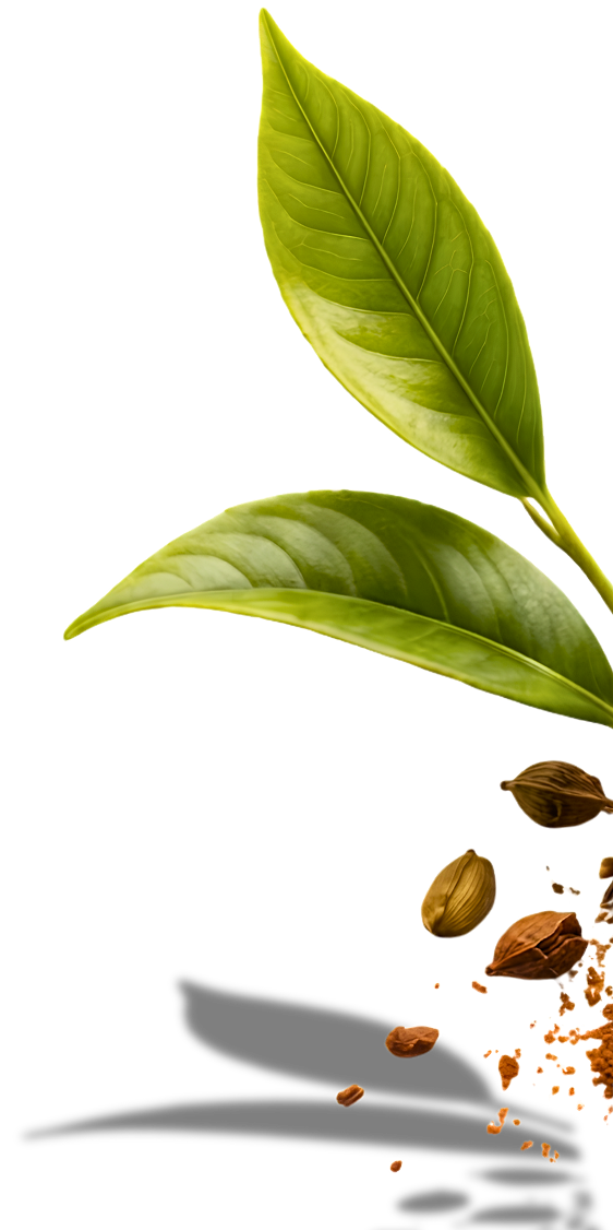 Right Leaf